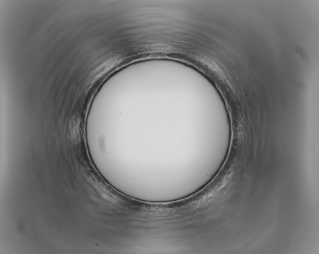 X0000111680873200907311217