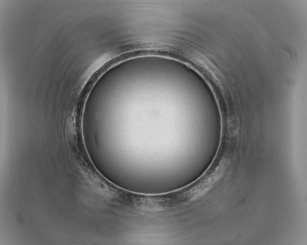 X0000111680875200907311217