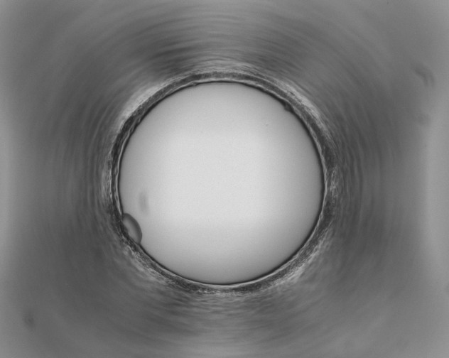 X0000111680877200907311217