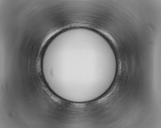 X0000111680878200907311217