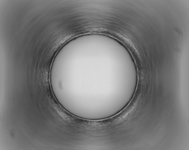 X0000111680881200907311217