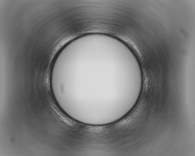 X0000111680882200907311217