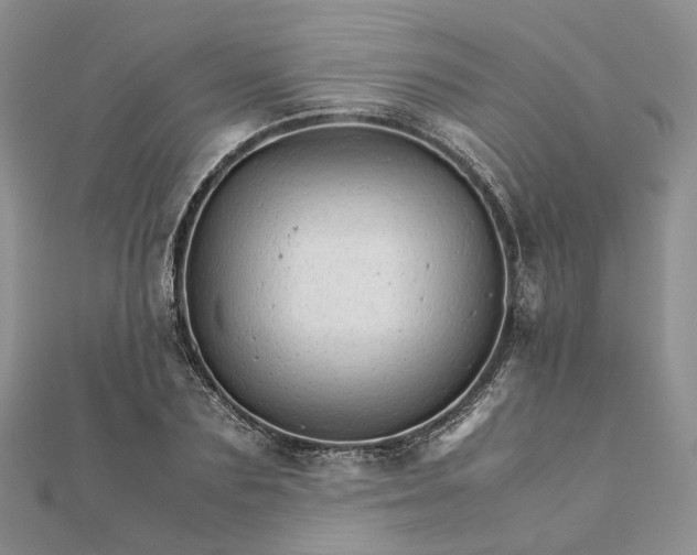 X0000111680883200907311217