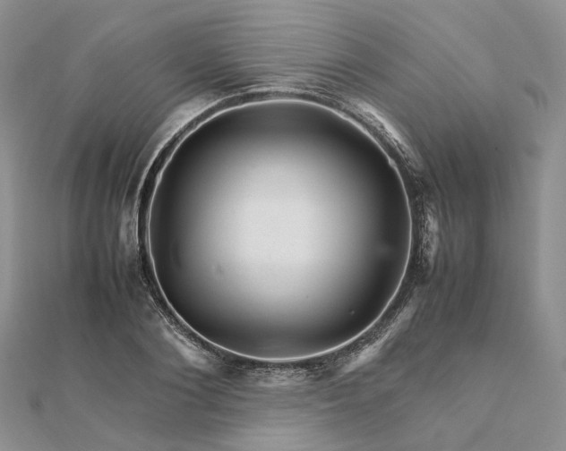 X0000111680884200907311217