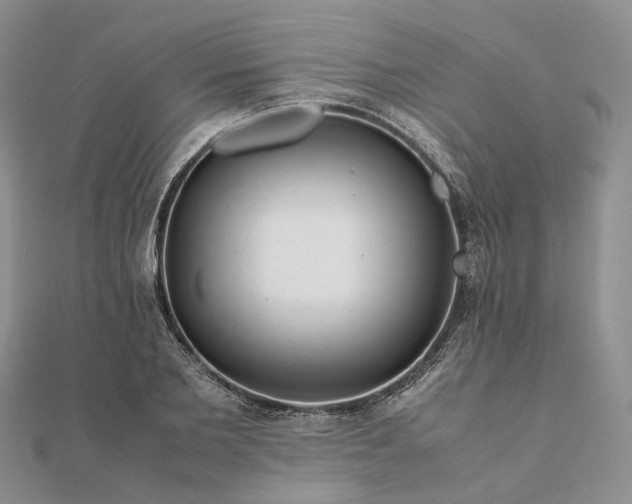 X0000111680885200907311217