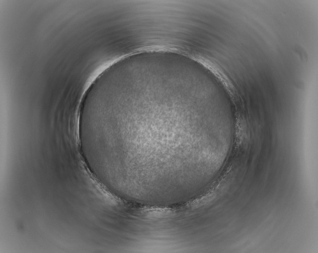 X0000111680886200907311217