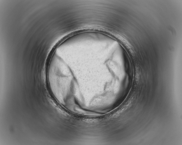 X0000111680888200907311217