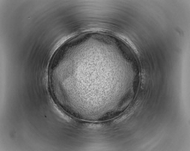 X0000111680890200907311217