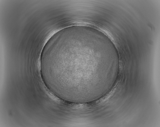 X0000111680891200907311217