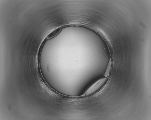 X0000111680892200907311217