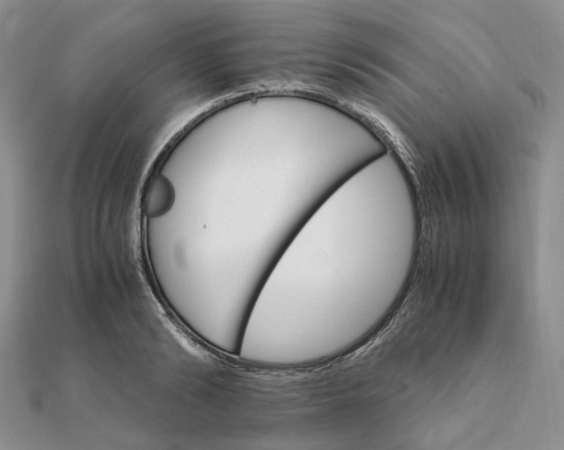 X0000111680894200907311217