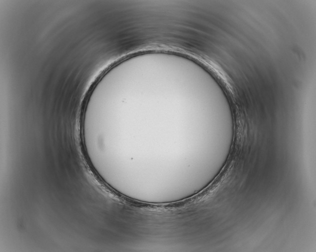 X0000111680896200907311217