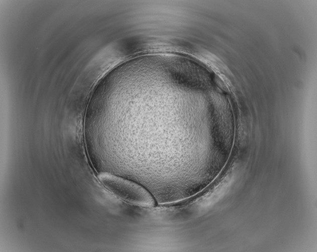 X0000111680897200907311217