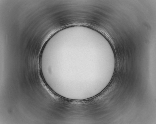 X0000111680898200907311217