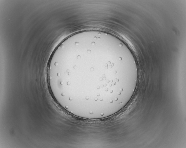 X0000111680899200907311217