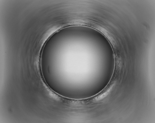 X0000111680901200907311217