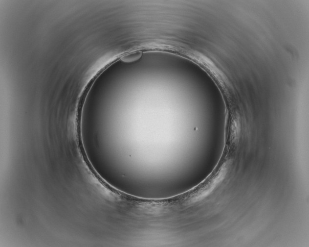 X0000111680902200907311217