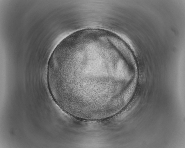 X0000111680903200907311217