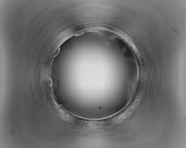 X0000111680905200907311217