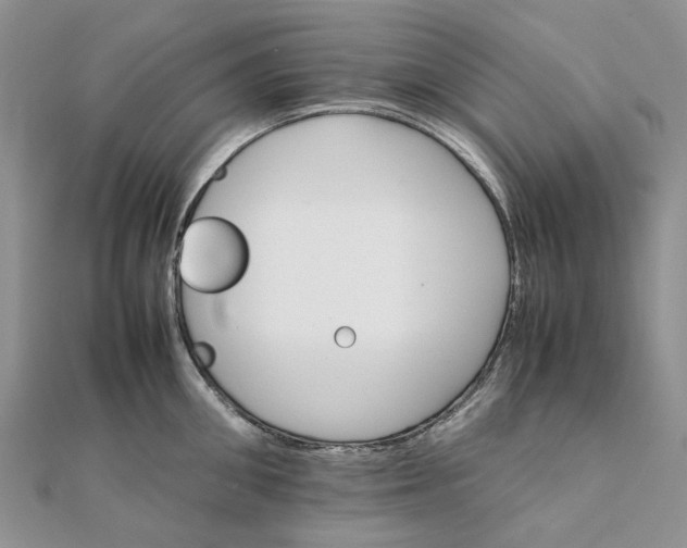 X0000111680906200907311217