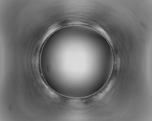 X0000111680909200907311217