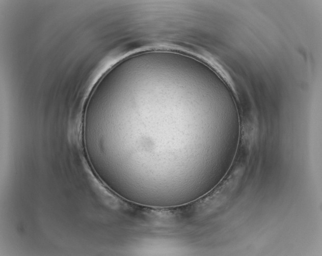 X0000111680911200907311217