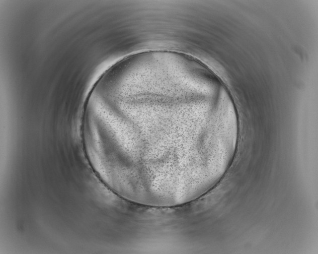 X0000111680912200907311217