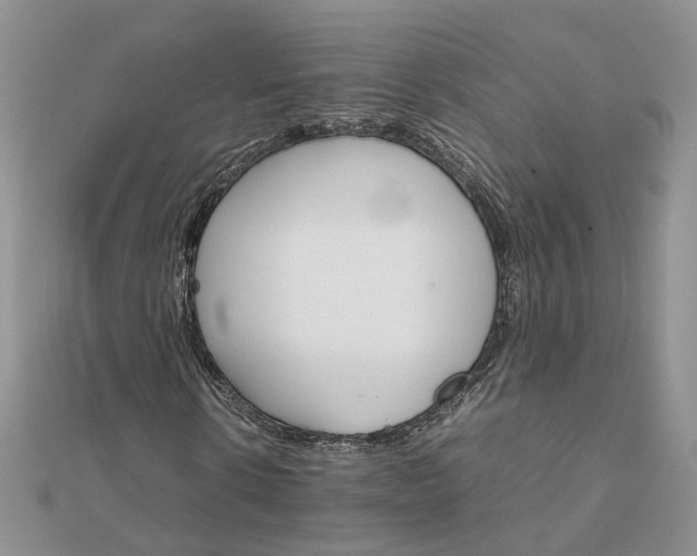 X0000111680914200907311216