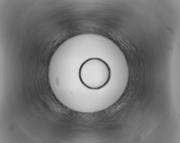 X0000111680916200907311216