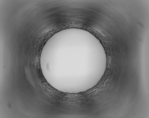 X0000111680917200907311216