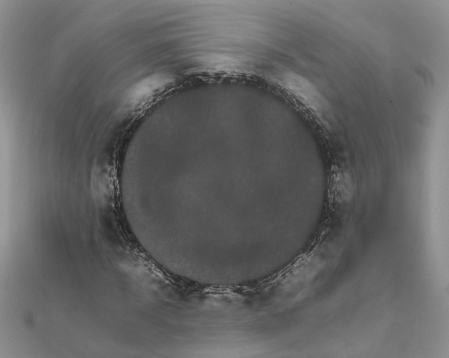 X0000111680918200907311216