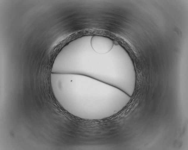 X0000111680919200907311216