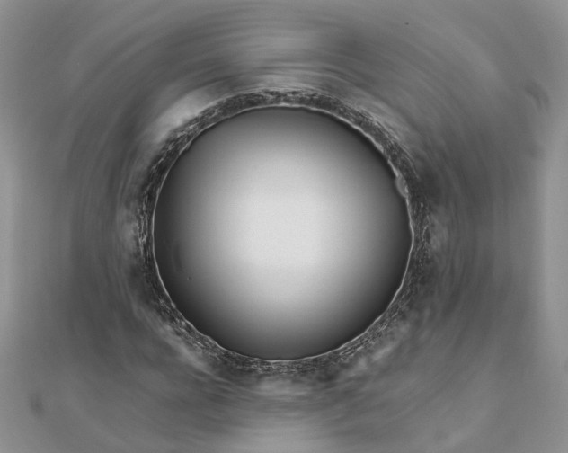 X0000111680920200907311216