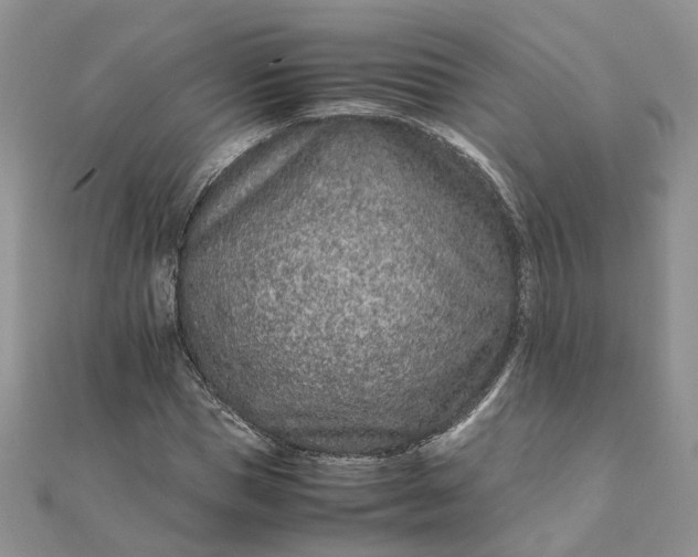 X0000111680921200907311216