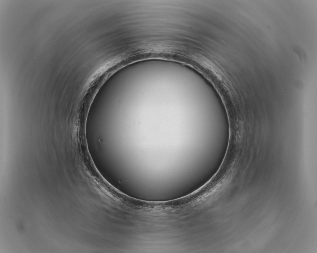 X0000111680922200907311216