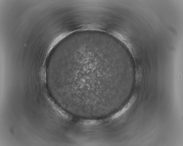 X0000111680925200907311216