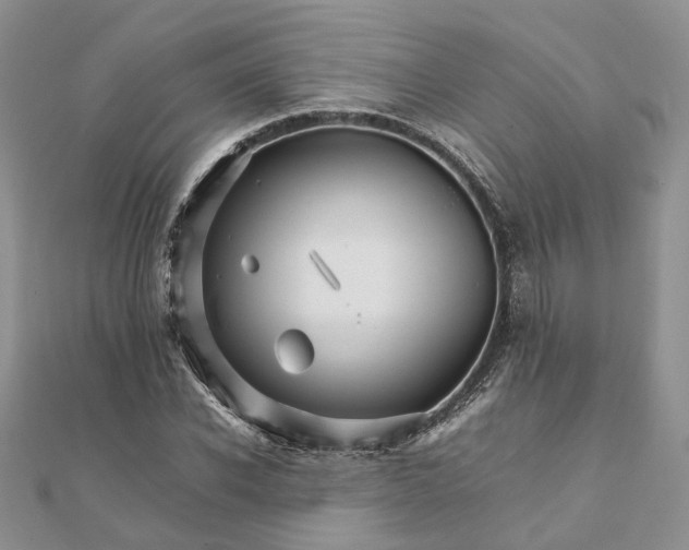 X0000111680926200907311216