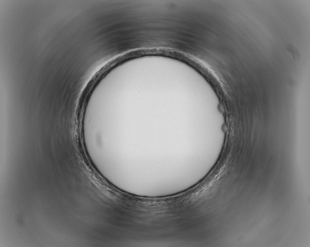 X0000111680927200907311216