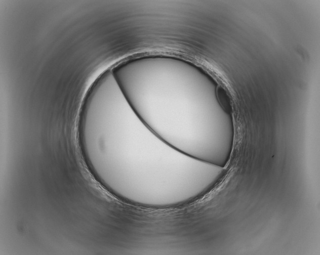 X0000111680928200907311216