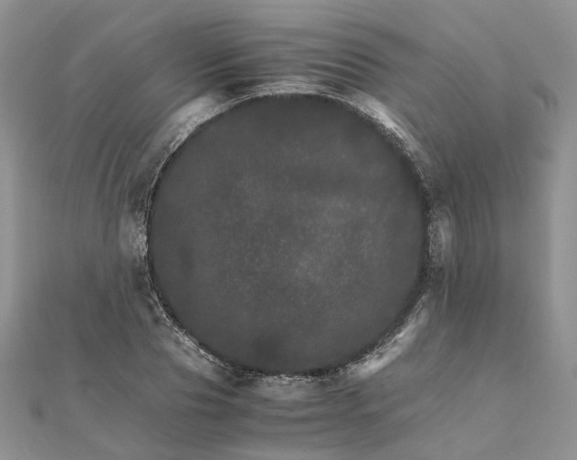 X0000111680929200907311216