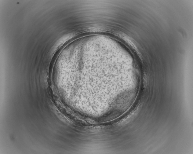 X0000111680930200907311216