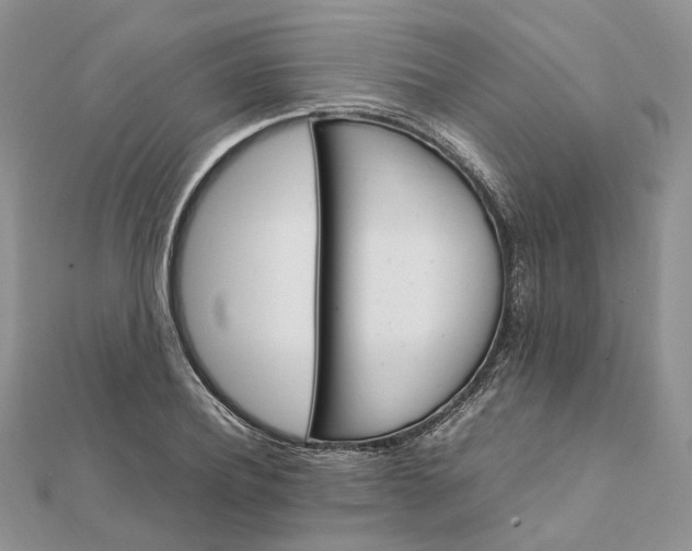 X0000111680932200907311216