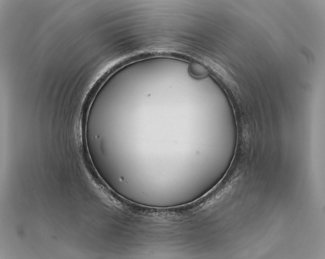 X0000111680934200907311216