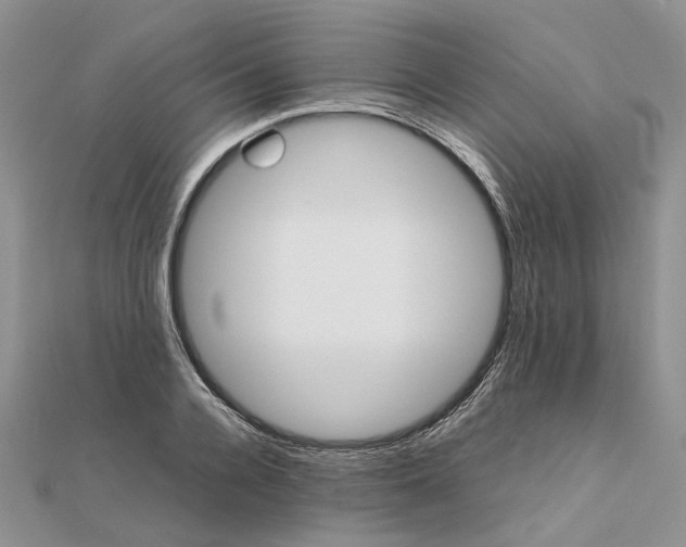 X0000111680936200907311216