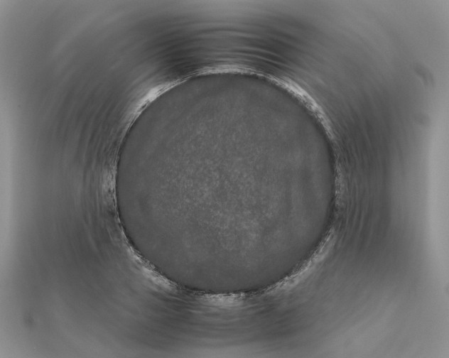 X0000111680937200907311216