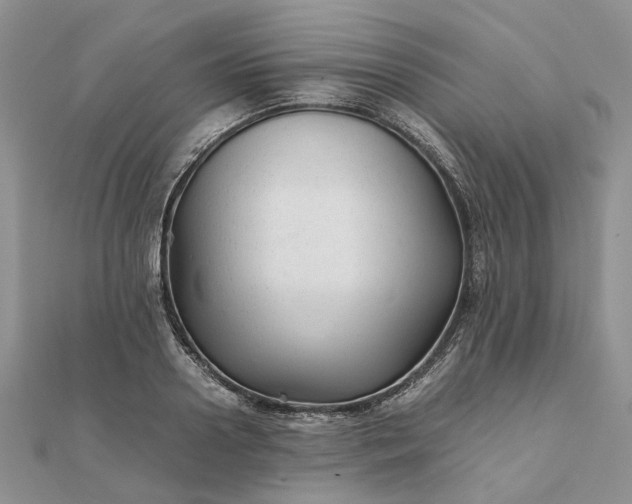 X0000111680938200907311216