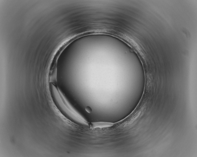 X0000111680939200907311216