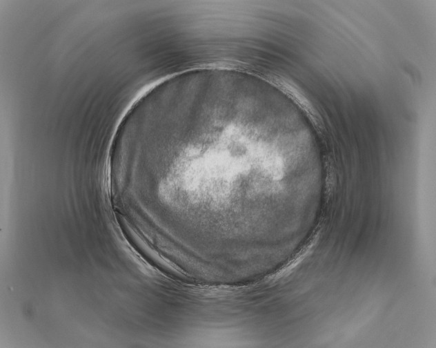 X0000111680940200907311216