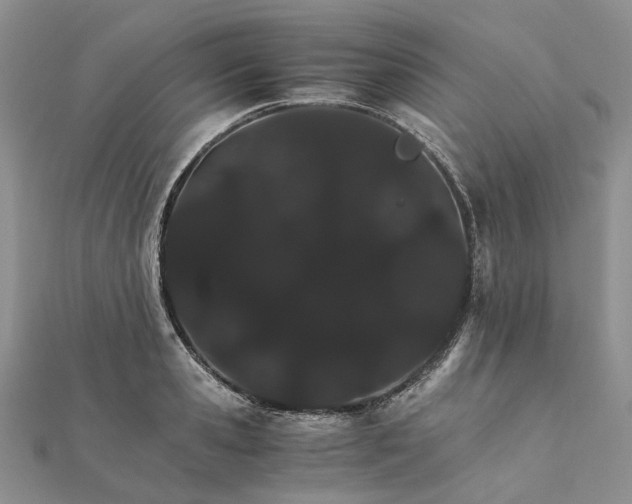 X0000111680941200907311216