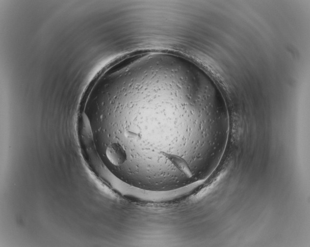 X0000111680942200907311216